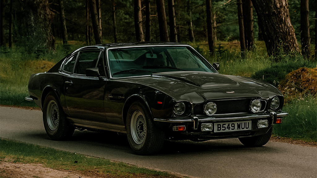 bond in motion
