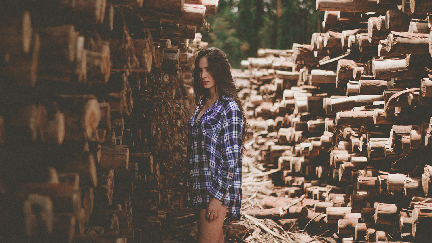 menquiry-woning-isoleren-met-houtvezel-allef-vinicius-unsplash