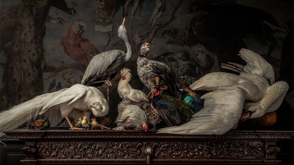Niet aanraken, ze leven (bijna): waarom het Art Zoo Museum jouw zomer redt